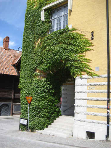 Ett hus med växter på
