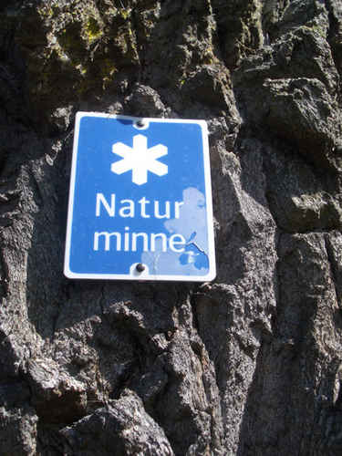 Natur minne