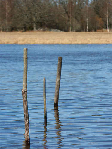 Pålar i vattendrag