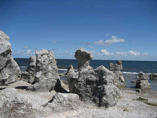 Raukar på en strand