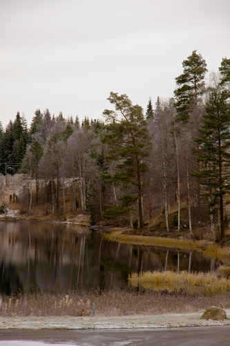Södra loken