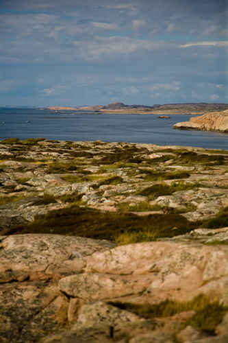 Berg