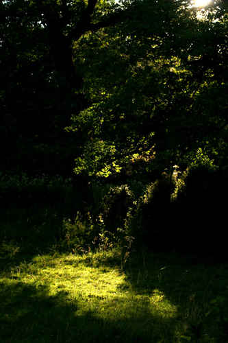 Solljus