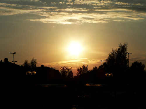 Solnedgång över busshållplats