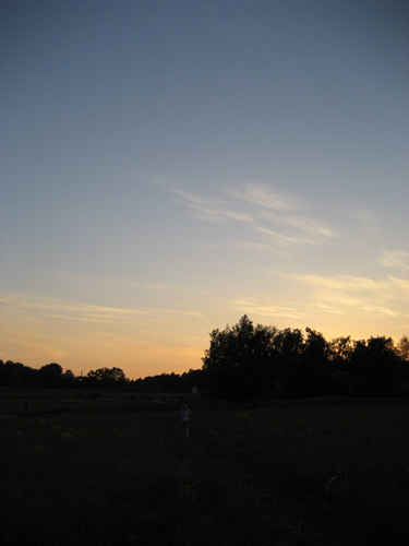 Flicka vandrar på en sommaräng