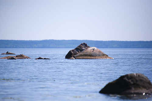 Hjälmaren