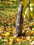 PICT0006~0.jpg