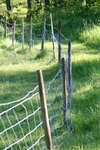 staket~1.jpg