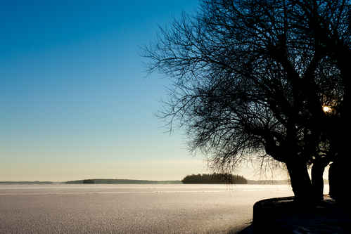 Frusen sjö