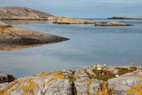 Västkusten