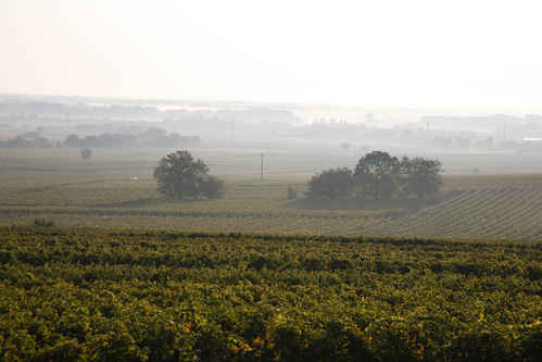 Vinlandskap