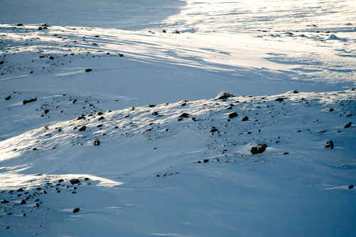 Vykort vinter080501