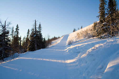Vykort vinter080501