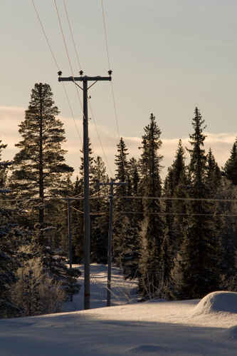 Vykort vinter080501