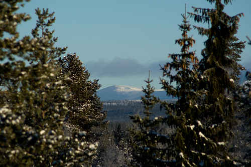 Vykort vinter080501
