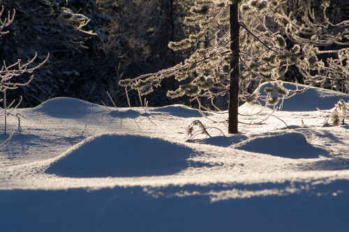Vykort vinter080501