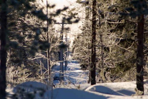 Vykort vinter080501