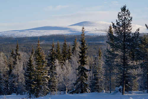 Vykort vinter080501