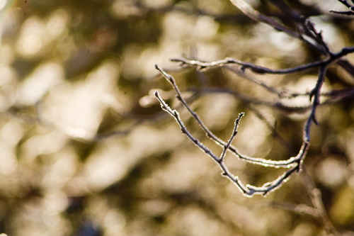 Vykort vinter080501