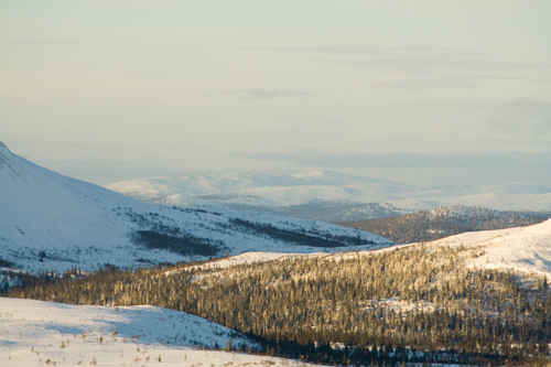 Vykort vinter080501