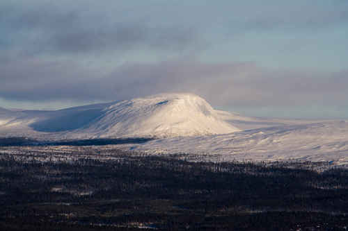 Vykort vinter080501