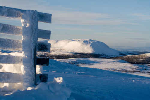 Vykort vinter080501