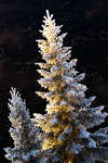 alvdalen2008-149.jpg
