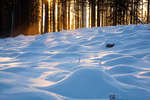 alvdalen2008-23.jpg