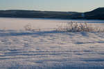 alvdalen2008-55.jpg