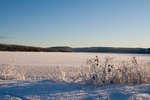 alvdalen2008-57.jpg