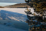 alvdalen2008-60.jpg