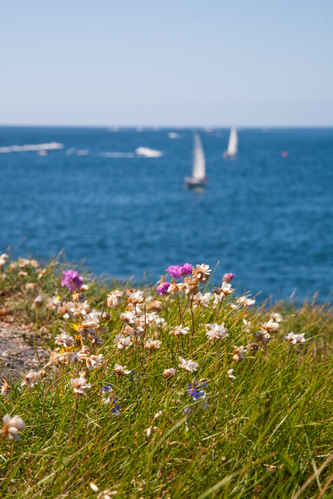 Segelbåt