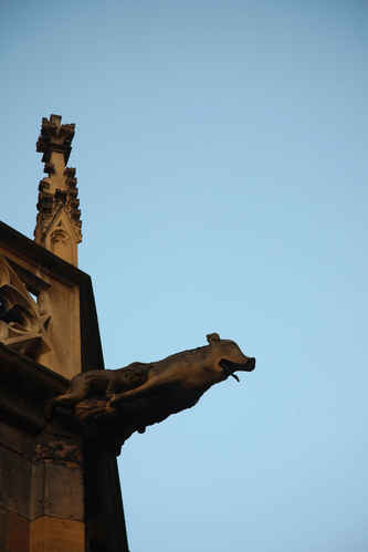 Saint-Martin Kollegialen