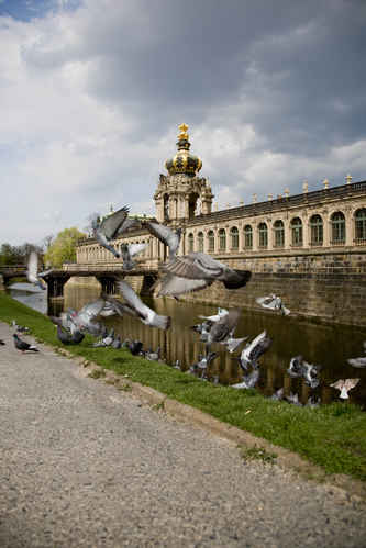 Dresden