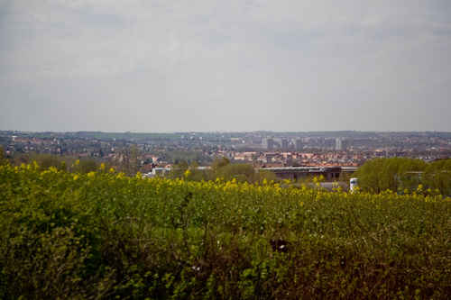 Dresden