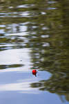 flote120714-2.jpg