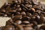 kaffebonor080430-17.jpg