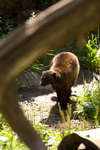 kolmarden080710-28.jpg