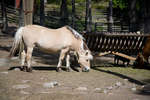 kolmarden2080710-1.jpg