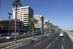 las-palmas110612-2.jpg