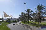 las-palmas110612-6.jpg