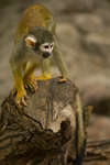 parkenzoo2080719-19.jpg