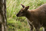 parkenzoo2080719-2.jpg