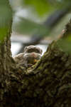 parkenzoo2080719-20.jpg