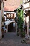 riquewhir091114-03.jpg