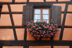 riquewhir091114-20.jpg