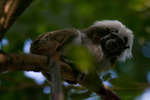 tropic080710-9.jpg