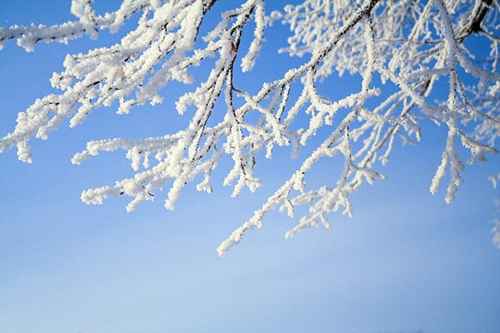 Vinter