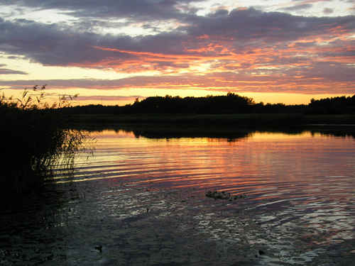 Solnedgång