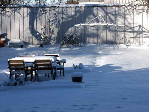 Vinter
